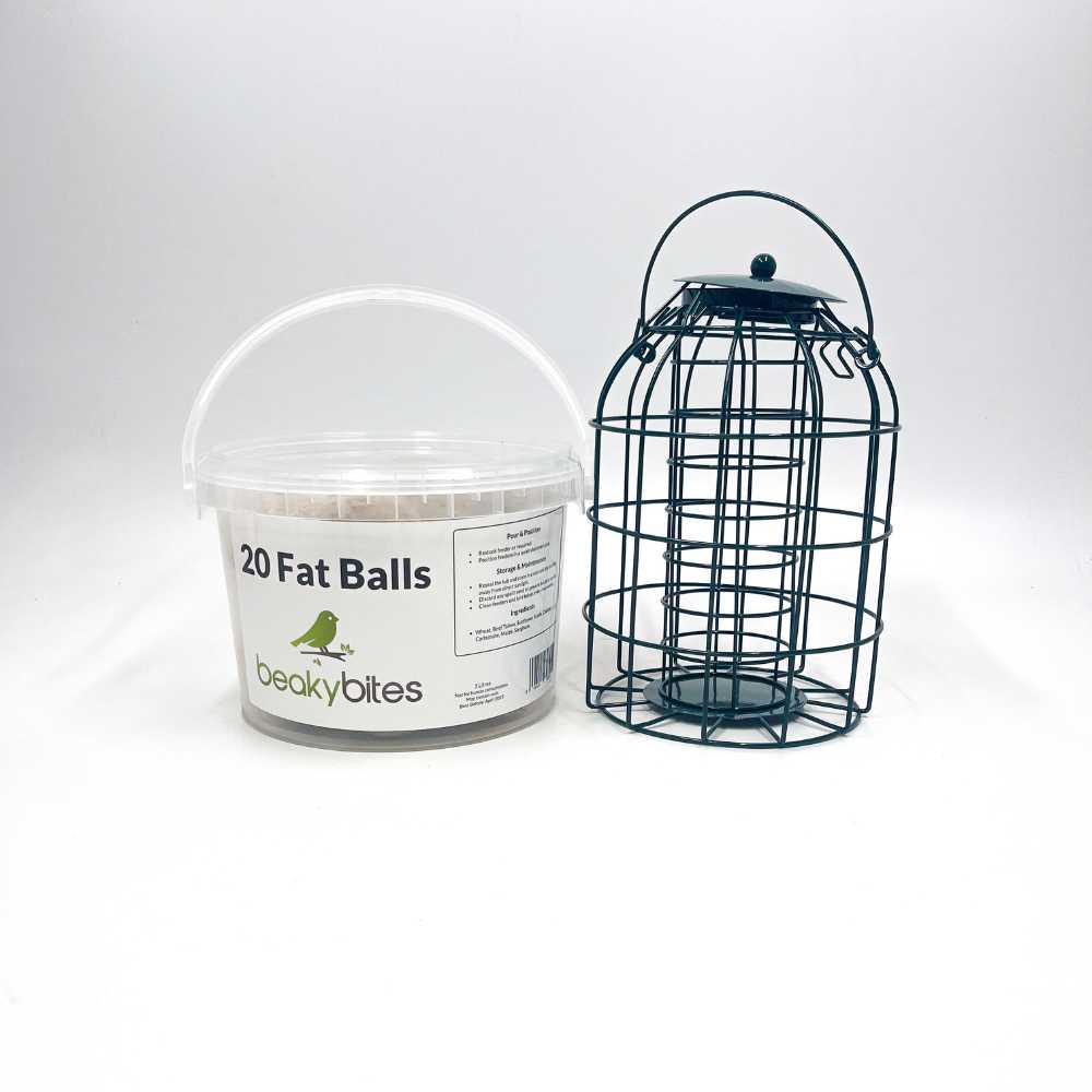 Squirrel Proof Fat Ball Feeder and 20 Fat Balls